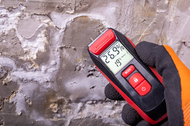 Best Mold Removal Specialists  in Waterman, IL